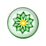 صحن-شعبي-لتقديم-الوجبات